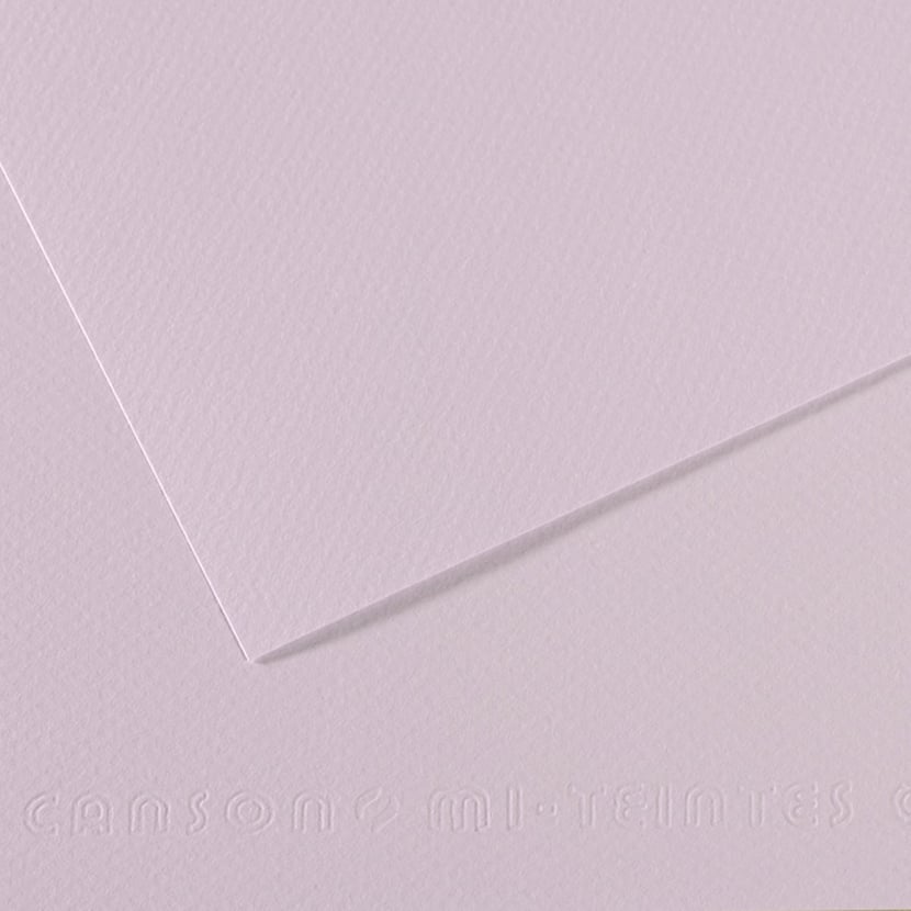 media/pim/fle-mi-teinte-50x65-160g-lilas-fle-mi-teinte-50x65-160g-lilas-3148953213041_0.jpg