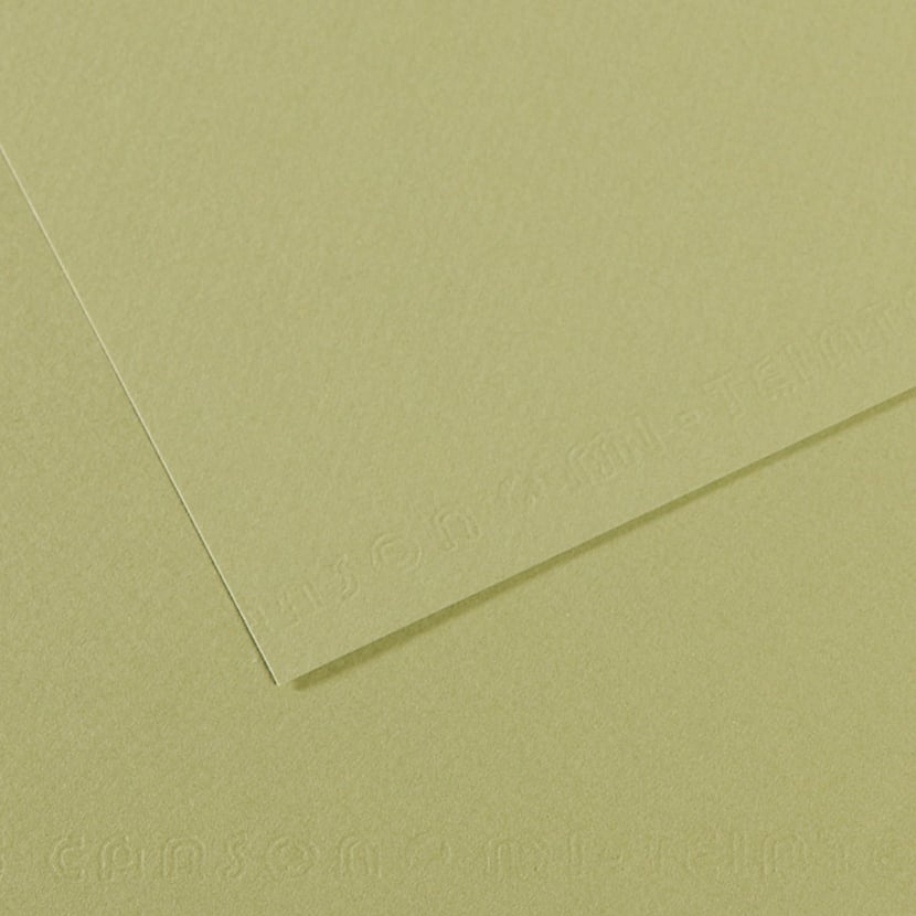 media/pim/fle-mi-teinte-50x65-160g-vert-fle-mi-teinte-50x65-160g-vert-3148953211641_0.jpg