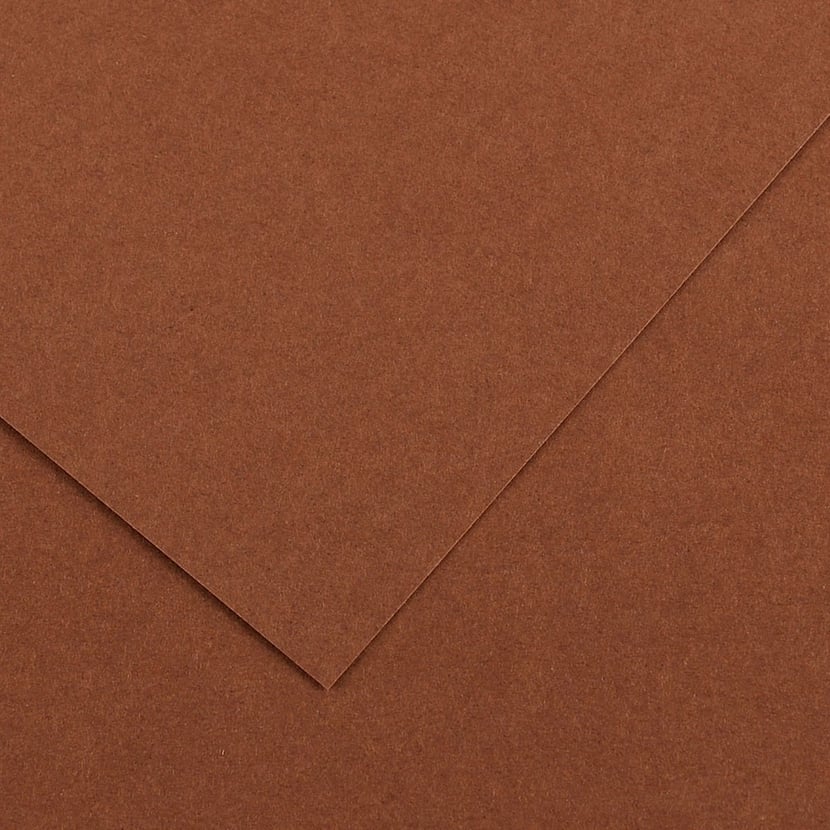 media/pim/fle-vivaldi-120g-50x65-chocola-fle-vivaldi-120g-50x65-chocolat-3148950400710_0.jpg