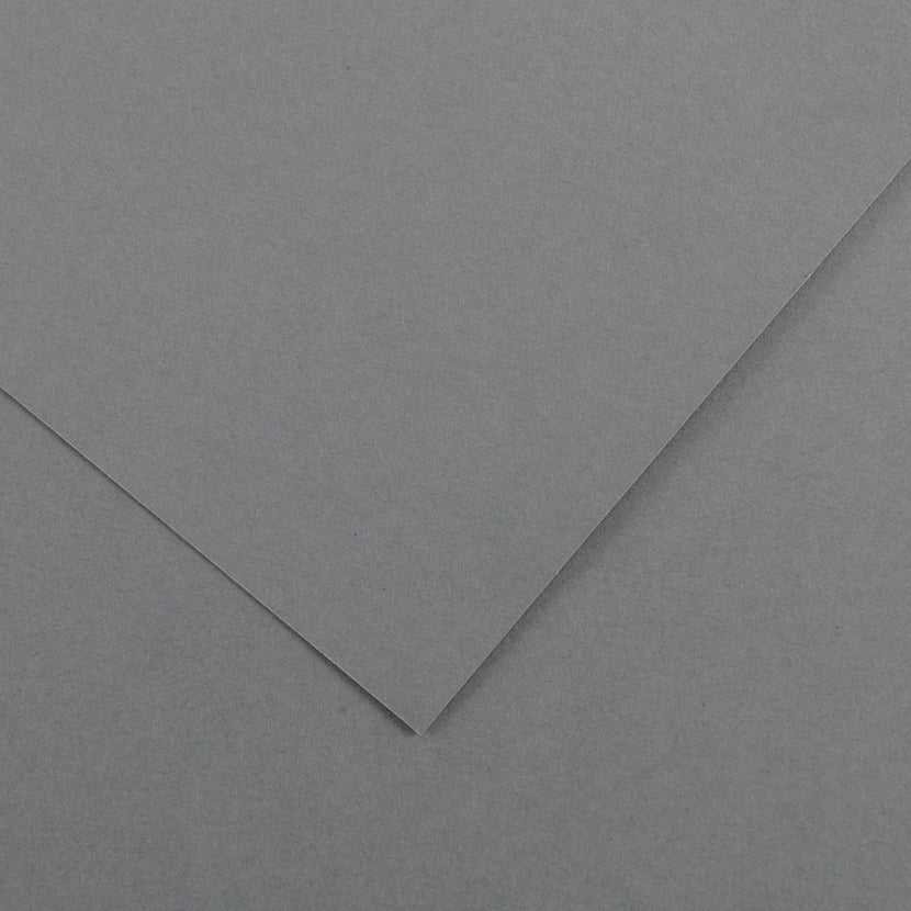 media/pim/fle-vivaldi-120g-50x65-gris-fo-fle-vivaldi-120g-50x65-gris-fonce-3148953410259_0.jpg