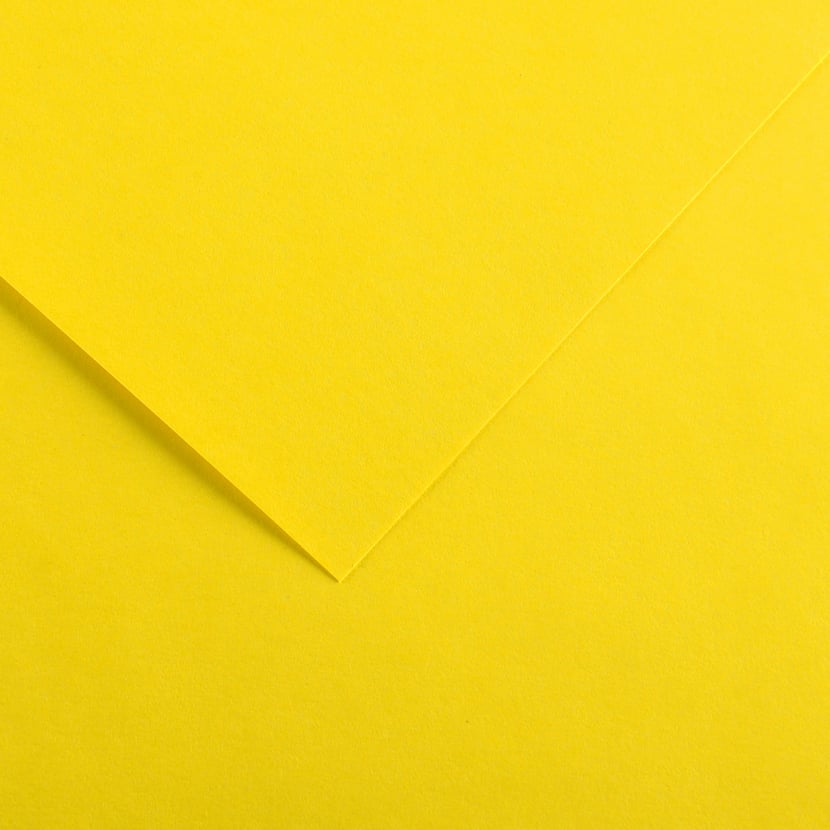 media/pim/fle-vivaldi-120g-50x65-jne-can-fle-vivaldi-120g-50x65-jne-canaris-3148953410020_0.jpg