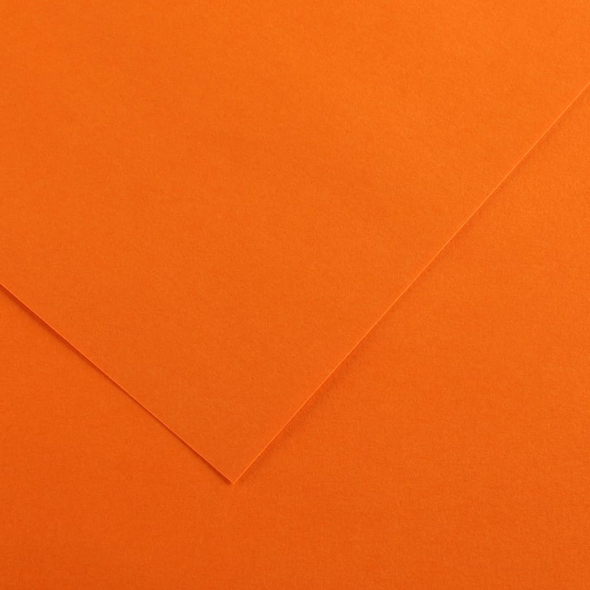 media/pim/fle-vivaldi-120g-50x65-orange-fle-vivaldi-120g-50x65-orange-3148953410051_0.jpg