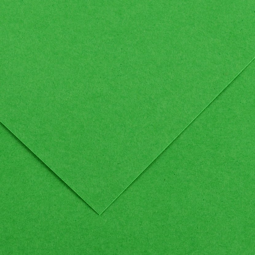 media/pim/fle-vivaldi-120g-50x65-vert-fr-fle-vivaldi-120g-50x65-vert-franc-3148953410167_0.jpg