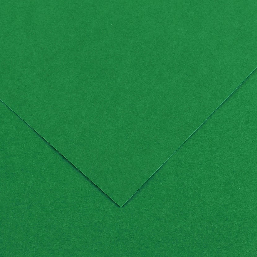 media/pim/fle-vivaldi-120g-50x65-vert-mo-fle-vivaldi-120g-50x65-vert-mousse-3148953410174_0.jpg