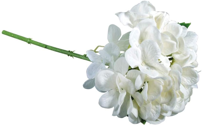 media/pim/hortensia-4006166288876_0.jpg