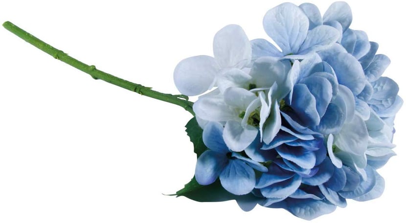 media/pim/hortensia-4006166288906_0.jpg