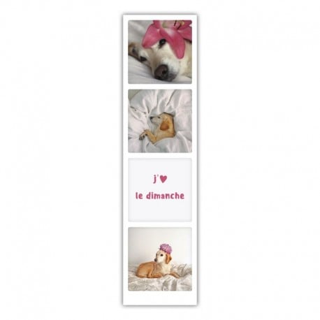 media/pim/j-3-le-dimanche-4251093160744_0.jpg