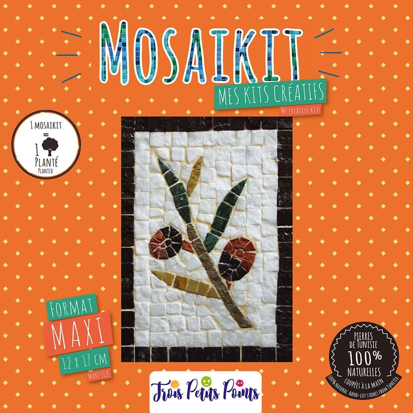 media/pim/kit-mosaique-maxi-olive-12x17-6192459600239_0.jpg