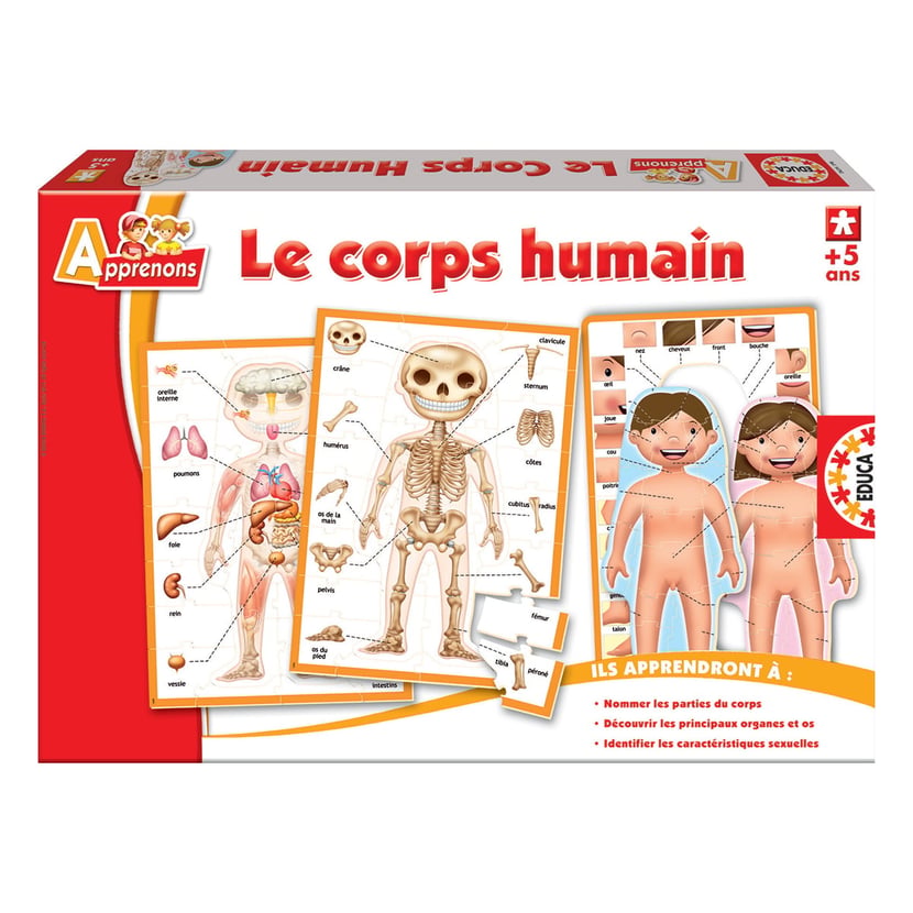 media/pim/le-corps-humain-8412668147928_0.jpg