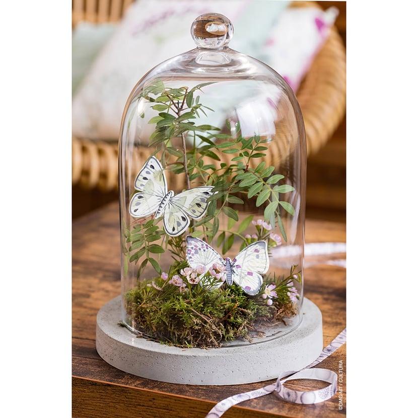media/pim/moule-cercle-18-5-cm-moule-cercle-18-5-cm-4006166274442_3.jpg