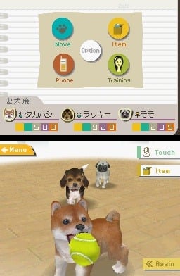 media/pim/nintendogs-teckel-ses-amis-s-0045496735517_8.jpg