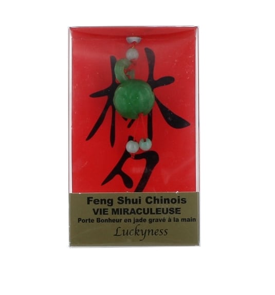 media/pim/p-bonhfengshuiviemiraculeuse-3660341176771_0.jpg