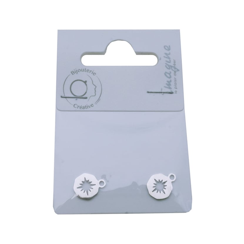 media/pim/pampille-pts-cardinaux-x2-acier-368095_0.jpg