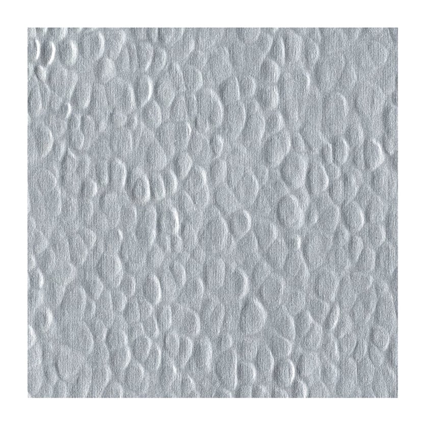 media/pim/papiers-texture-argent-papiers-texture-argent-5414135150175_0.jpg