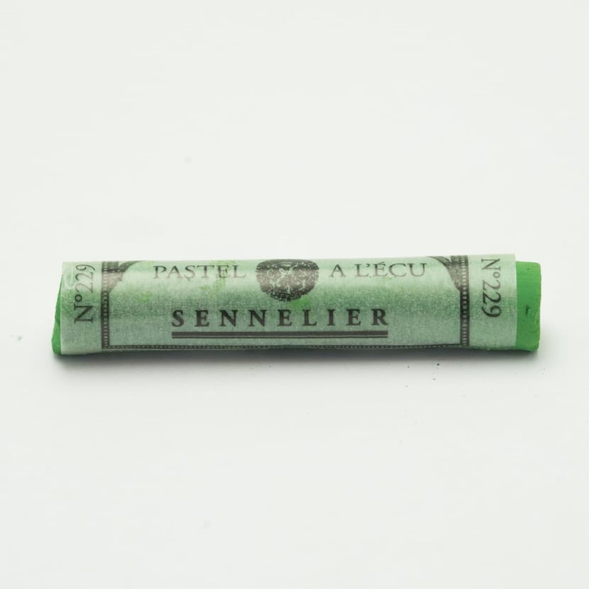 media/pim/pastel-ecu-indiv-vert-de-chrom-pastel-ecu-indiv-vert-de-chrome-n-3-3046450513421_0.jpg