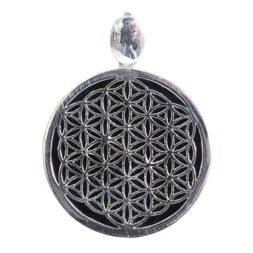media/pim/pendentif-argent-fleur-de-vie-onyx-3660341584880_0.jpg