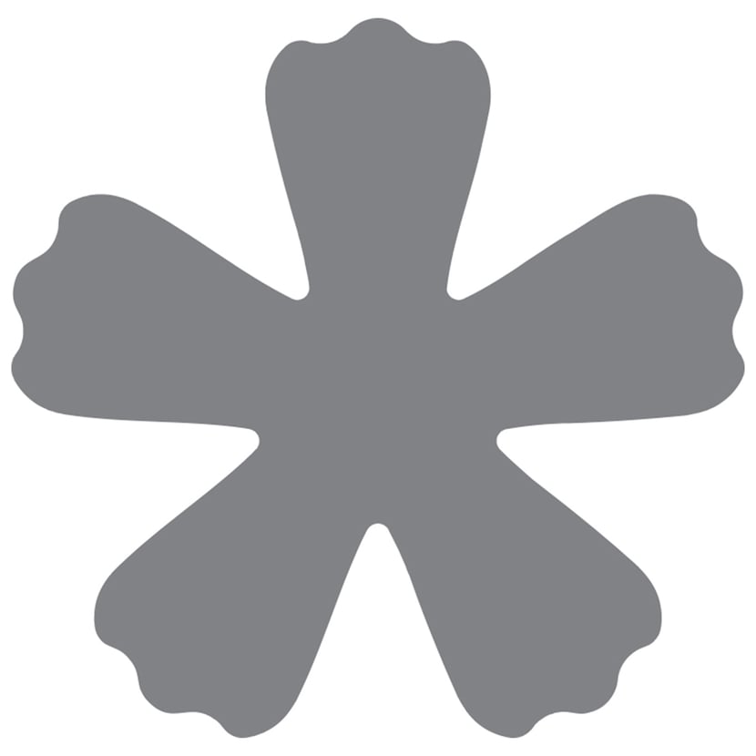 media/pim/perfo-squeezexl-fleur-3359900039823_0.jpg