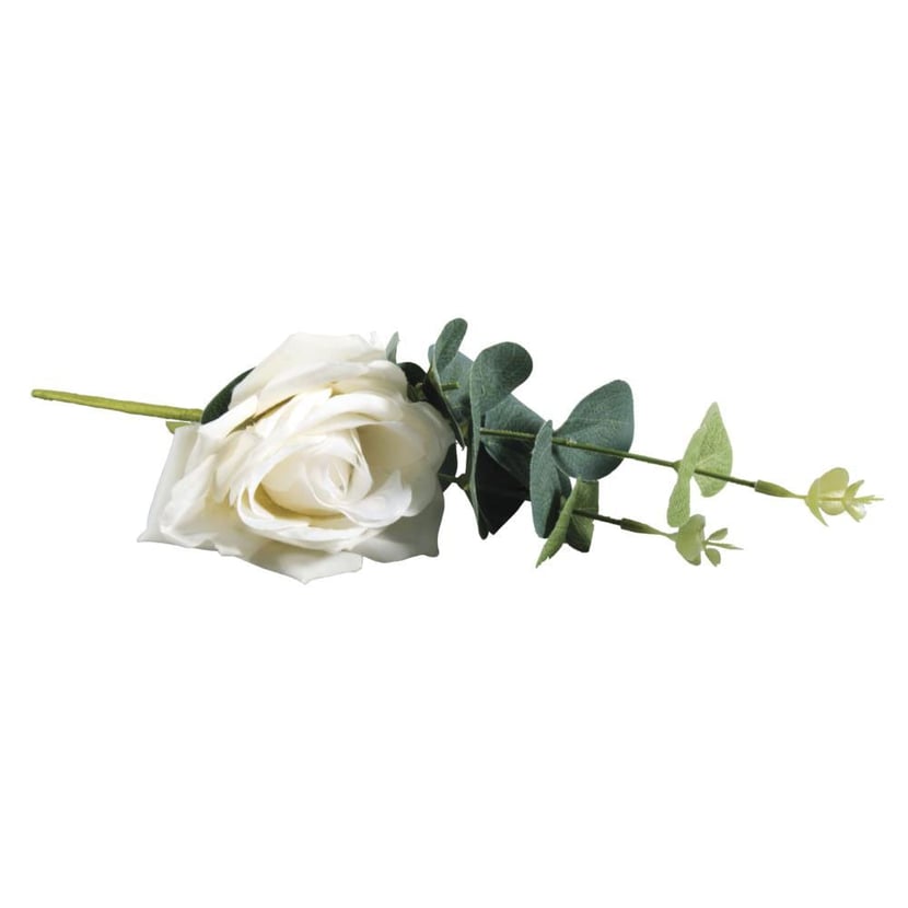 media/pim/pic-roses-avec-eucalyptus-4006166288838_0.jpg