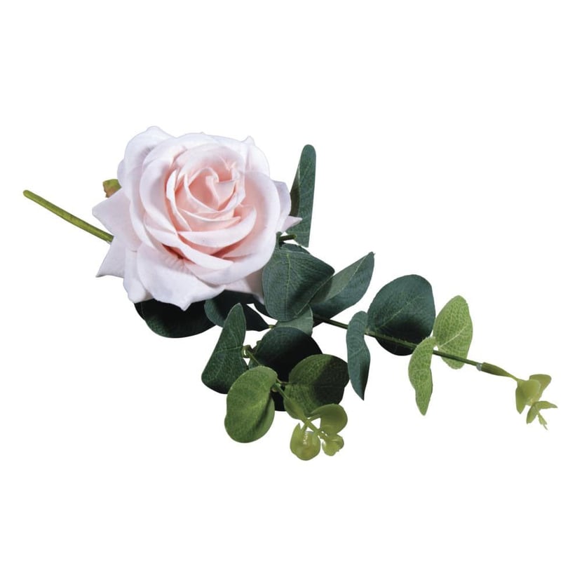 media/pim/pic-roses-avec-eucalyptus-4006166288845_0.jpg