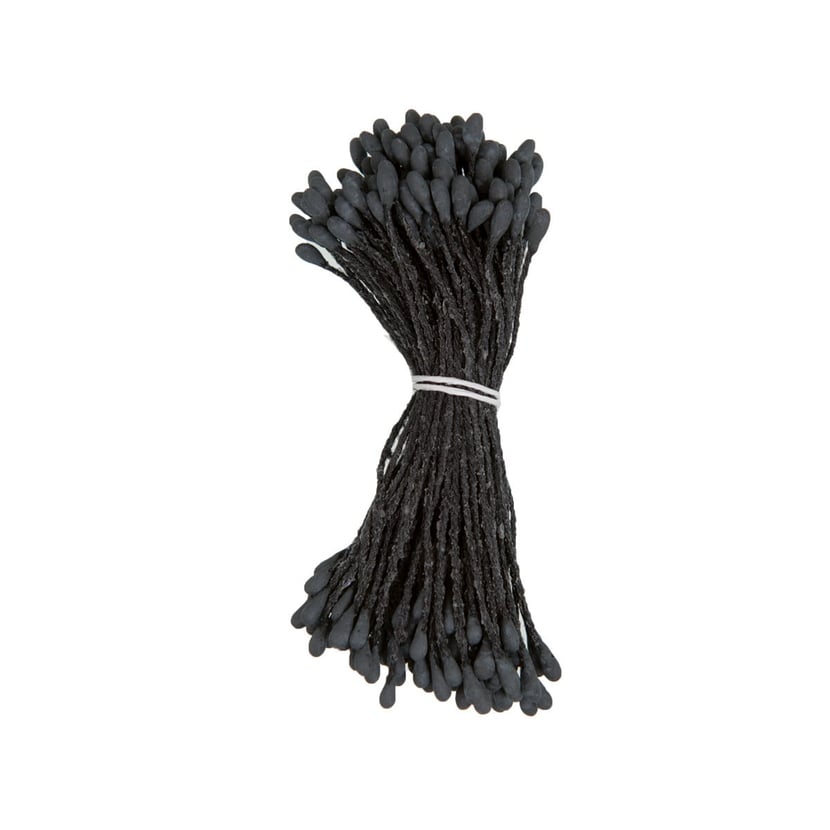 media/pim/pistils-noir-6cm-100-sticks-4051271083816_0.jpg