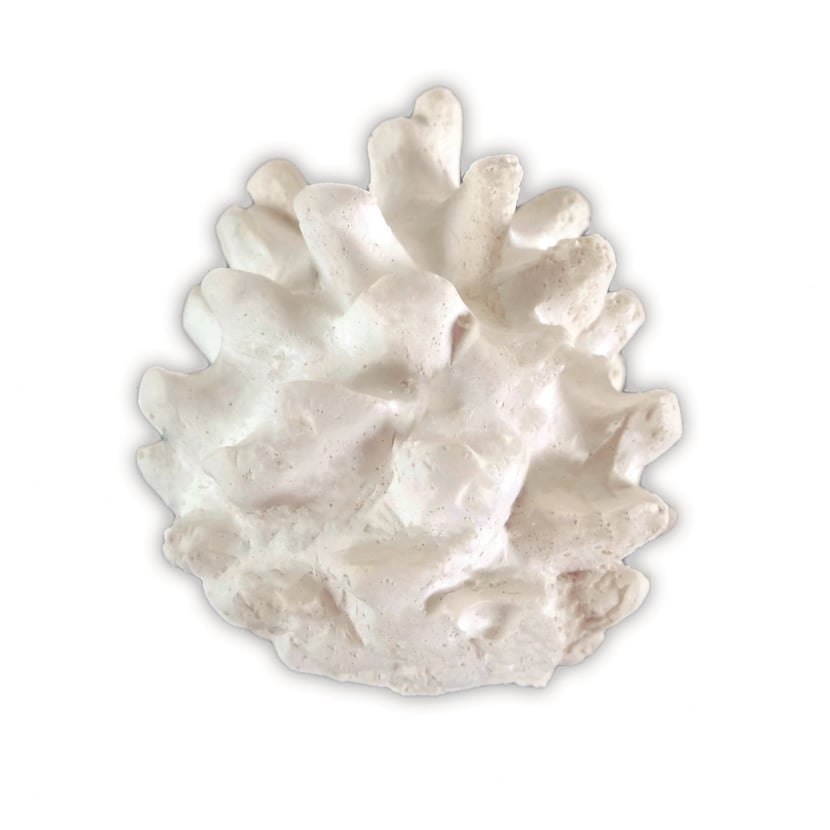 media/pim/platre-noel-pomme-de-pin-platre-noel-pomme-de-pin-3471051696288_0.jpg