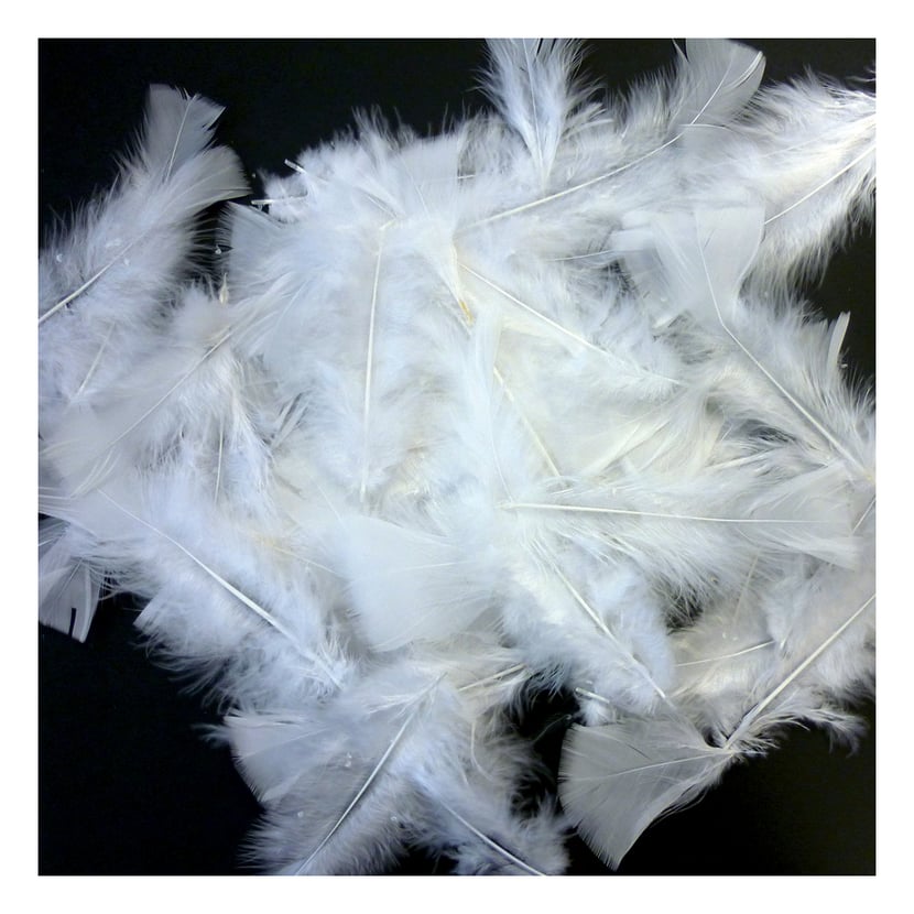 media/pim/plume-250g-blanche-3532434601036_0.jpg