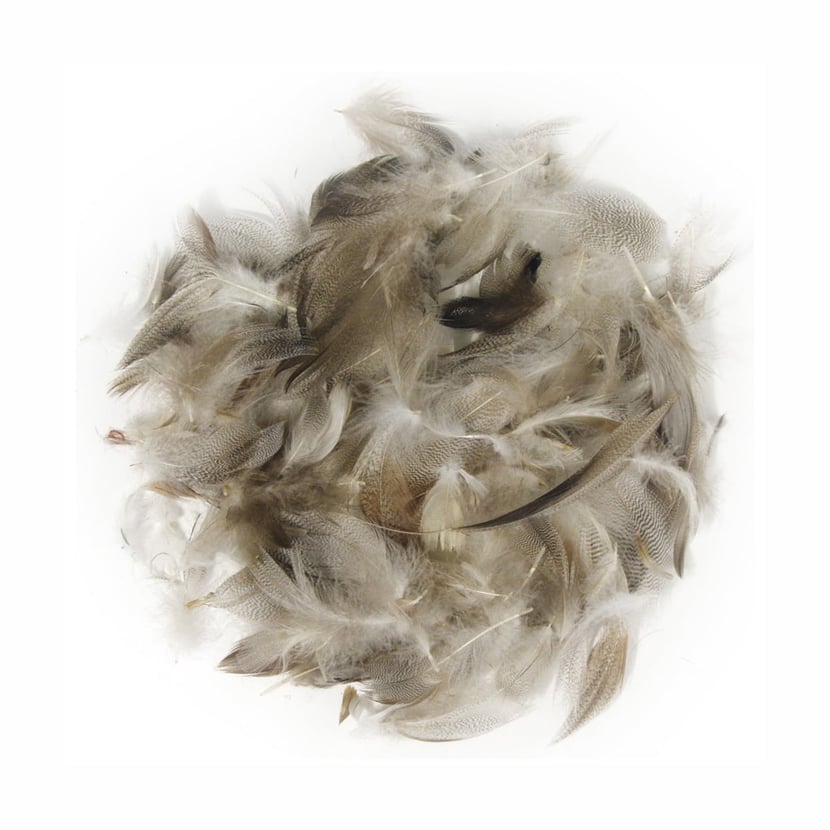 media/pim/plume-7-9cm-sachet-pepita-plume-7-9cm-sachet-10g-pepita-assor-brun-4006166558719_0.jpg