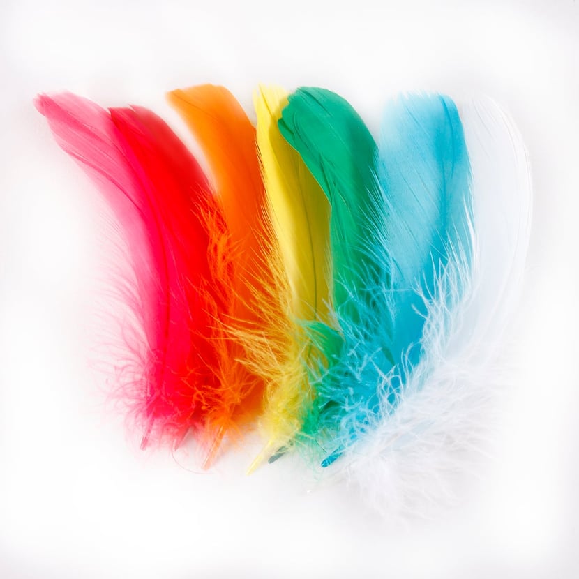media/pim/plumes-multicolores-x-40-3700408399764_0.JPG