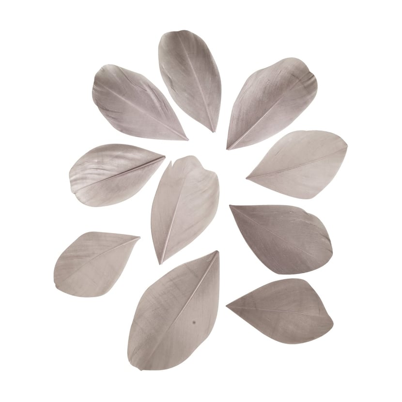 media/pim/plumes-pm-gris-clair-4006166269233_0.jpg