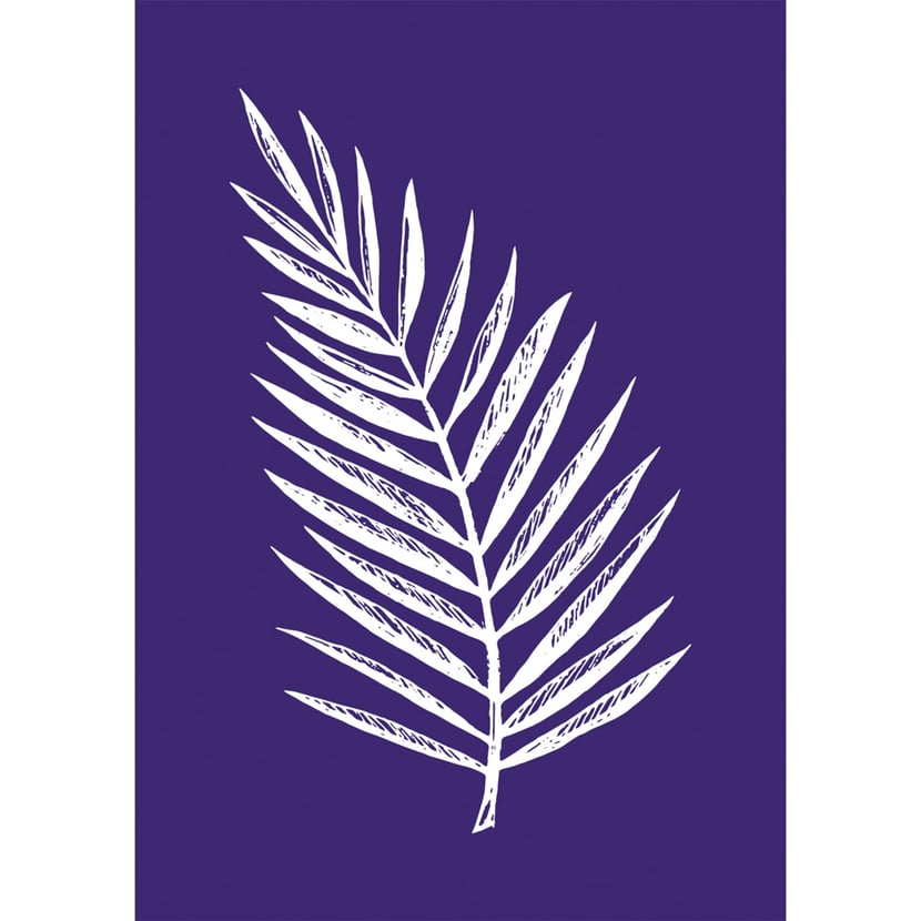 media/pim/pochoir-seri-feuille-palmier-15x21cm-4006166448423_0.jpg