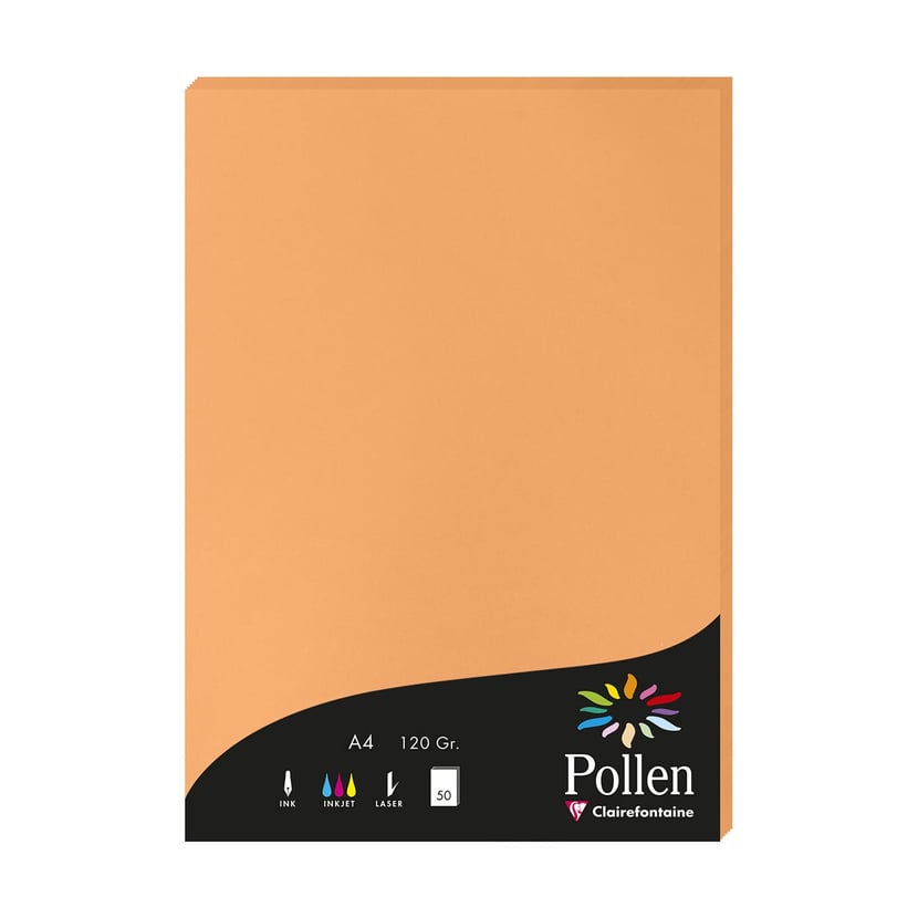media/pim/ramette-a4-120g-50f-clementine-ramette-a4-120g-50f-clementine-3329680420807_0.jpg