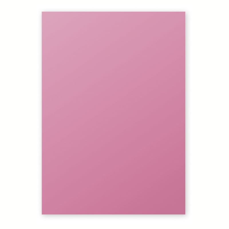 media/pim/ramette-a4-120g-50f-hortensia-ramette-a4-120g-50f-hortensia-3329680442816_0.jpg