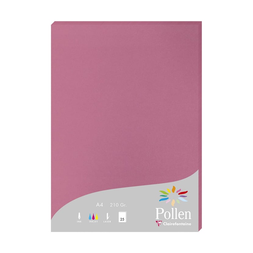 media/pim/ramette-a4-210g-25f-hortensia-ramette-a4-210g-25f-hortensia-3329682242810_0.jpg