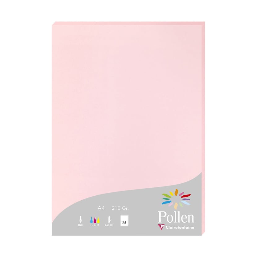 media/pim/ramette-a4-210g-25f-rose-ramette-a4-210g-25f-rose-3329680242812_0.jpg