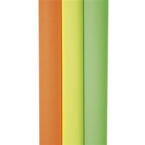 media/pim/rlx-10-affiches-fluo-60x80cm-rlx-10-affiches-fluo-60x80cm-assortis-3065503812991_0.jpg