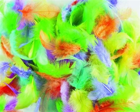 media/pim/sachet-plumes-3-10cm-10g-melan-sachet-plumes-3-10cm-10g-melange-couleur-4006166067341_0.jpg