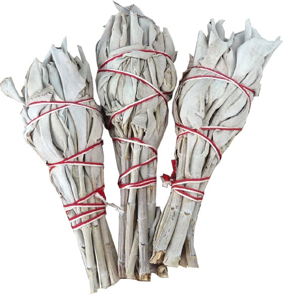 media/pim/sauge-blanche-sachet-3-fleurs-3-20-gr-3701382600174_0.jpg