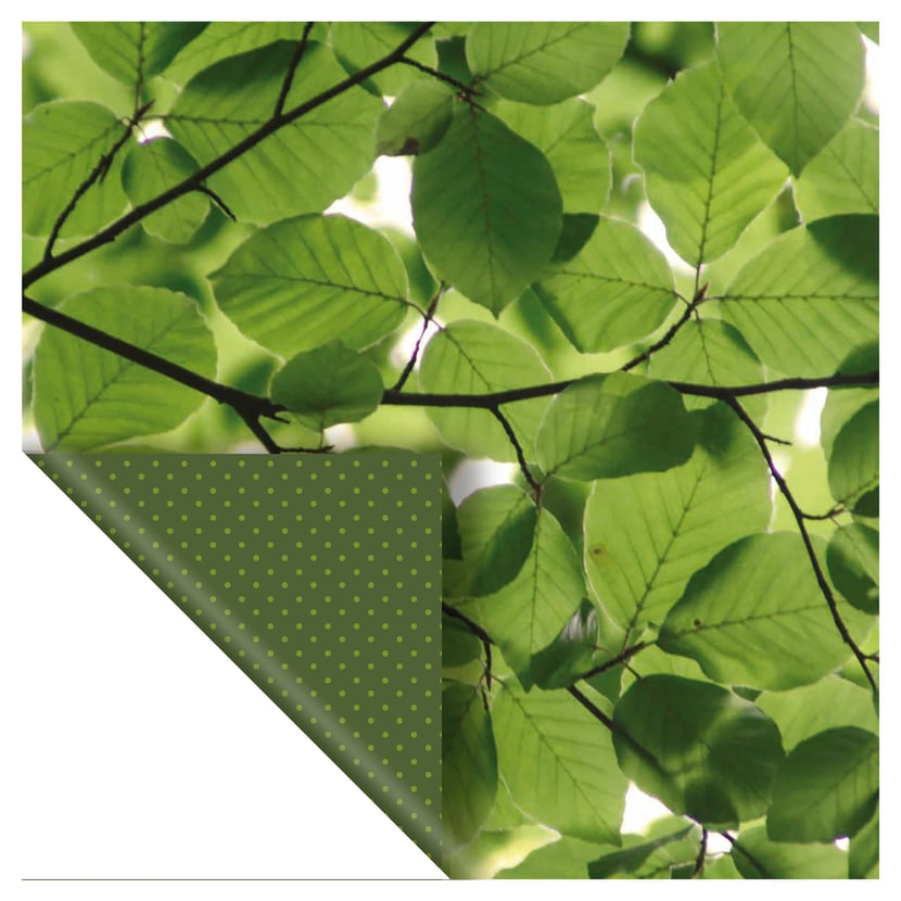 media/pim/set-6-papiers-photos-vert-5414135222926_1.jpg