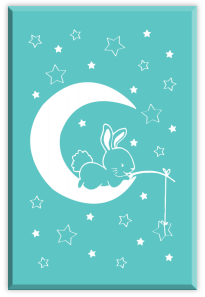 media/pim/tamp-bois-lapin-sur-la-lune-360452_0.PNG