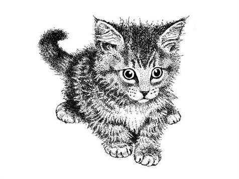 media/pim/tampon-bois-chat-fuzzy-tampon-bois-chat-fuzzy-0757979526573_0.jpg