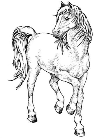 media/pim/tampon-bois-cheval-sautillant-tampon-bois-cheval-sautillant-0757979551599_0.jpg