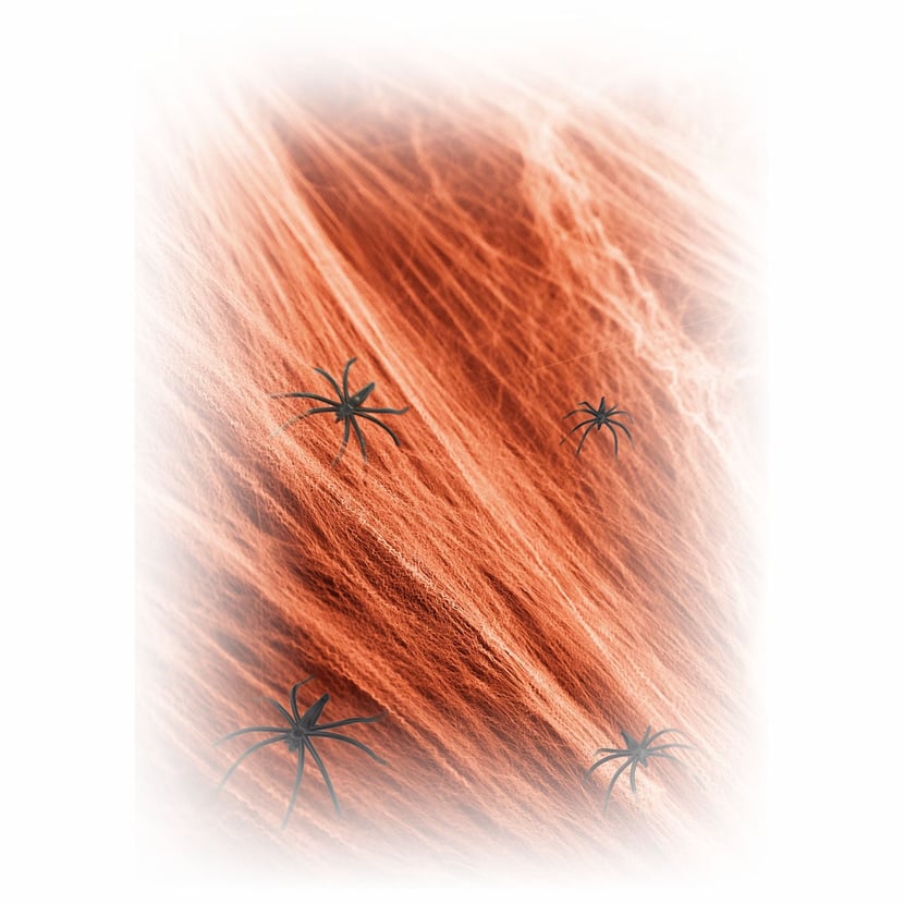 media/pim/toile-araignee-orange-60g-0082686023283_1.jpg