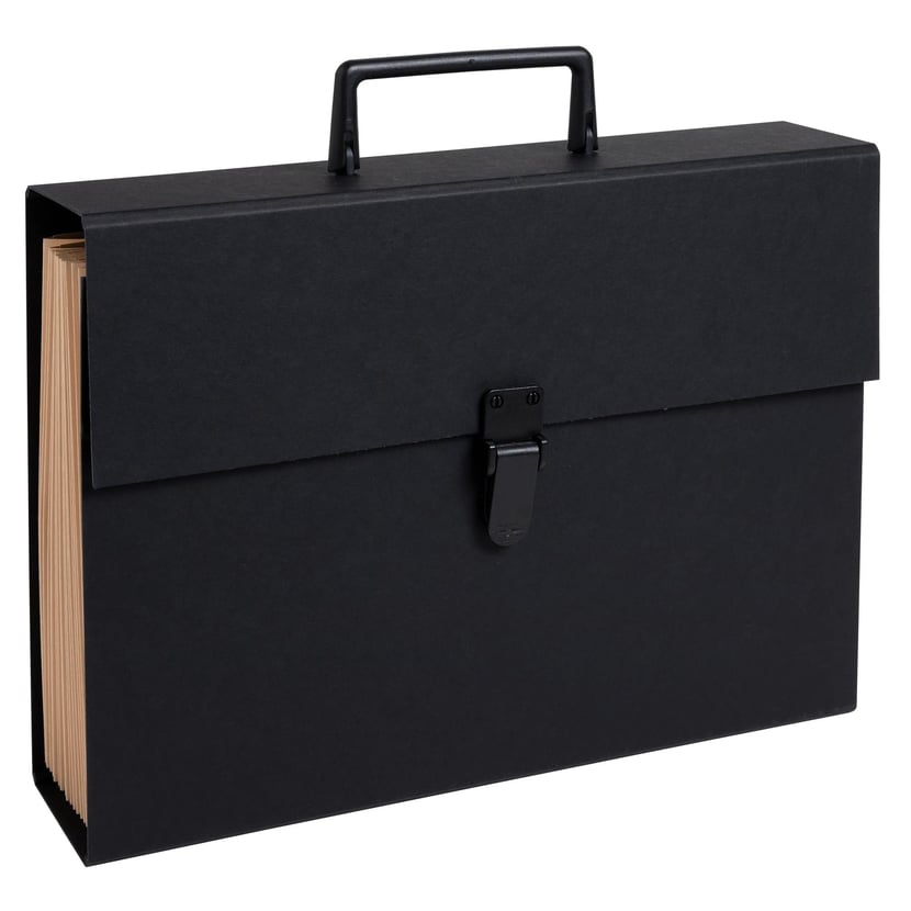 media/pim/trieur-valisette-poignee-20comp-noir-3130630584216_2.jpg