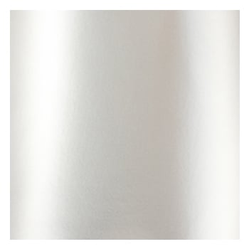 media/pim/vinyle-laque-25x45-argent-3135500886759_0.jpg