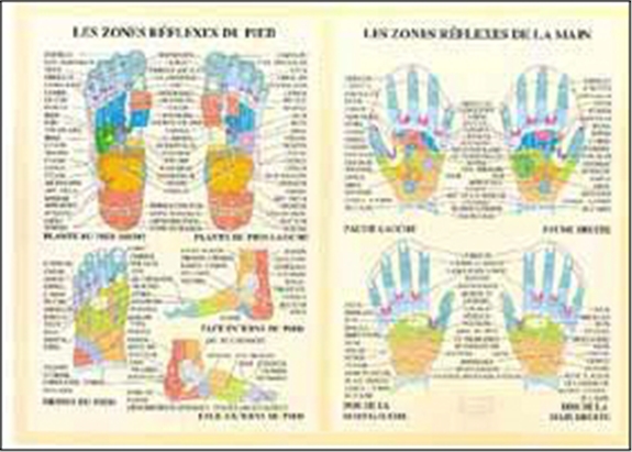 media/pim/zones-reflexes-main-et-pied-9789079887040_0.jpg