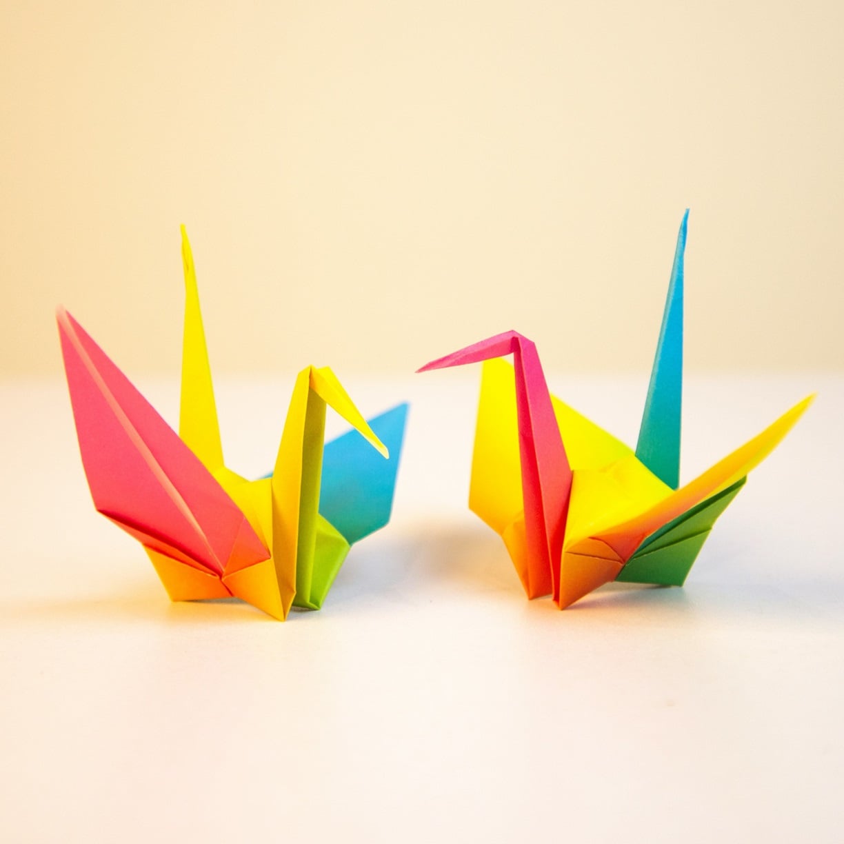 Atelier Adulte - Origami