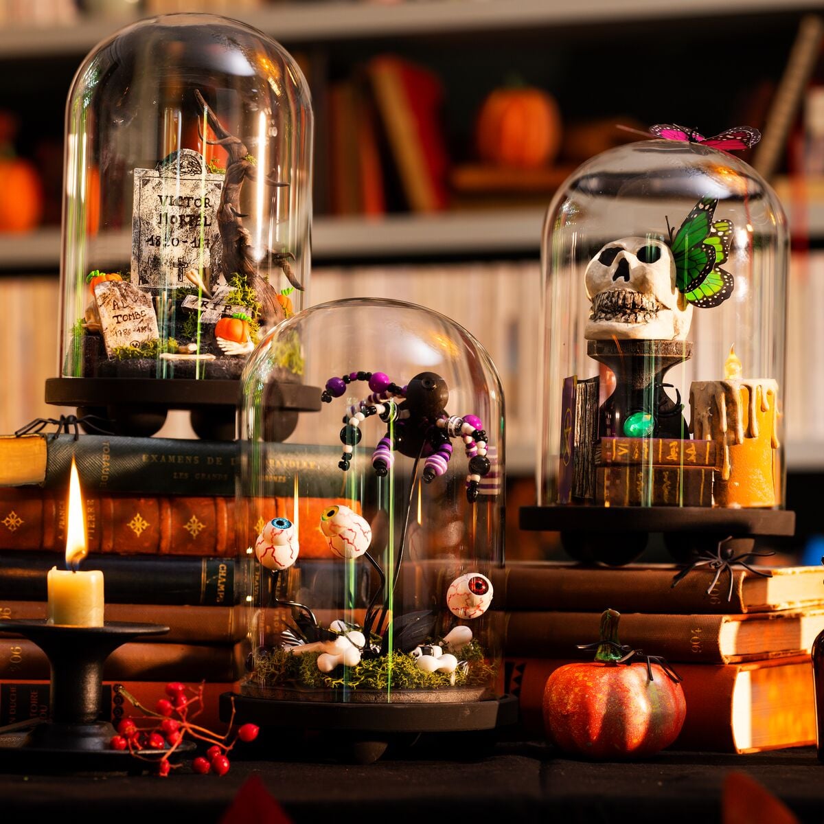 Atelier Halloween Famille - Cloche cabinet de curiosités