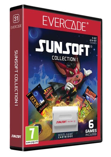 Blaze Evercade Sunsoft Collection Cart 31 Console RETROGAMING - vue 5