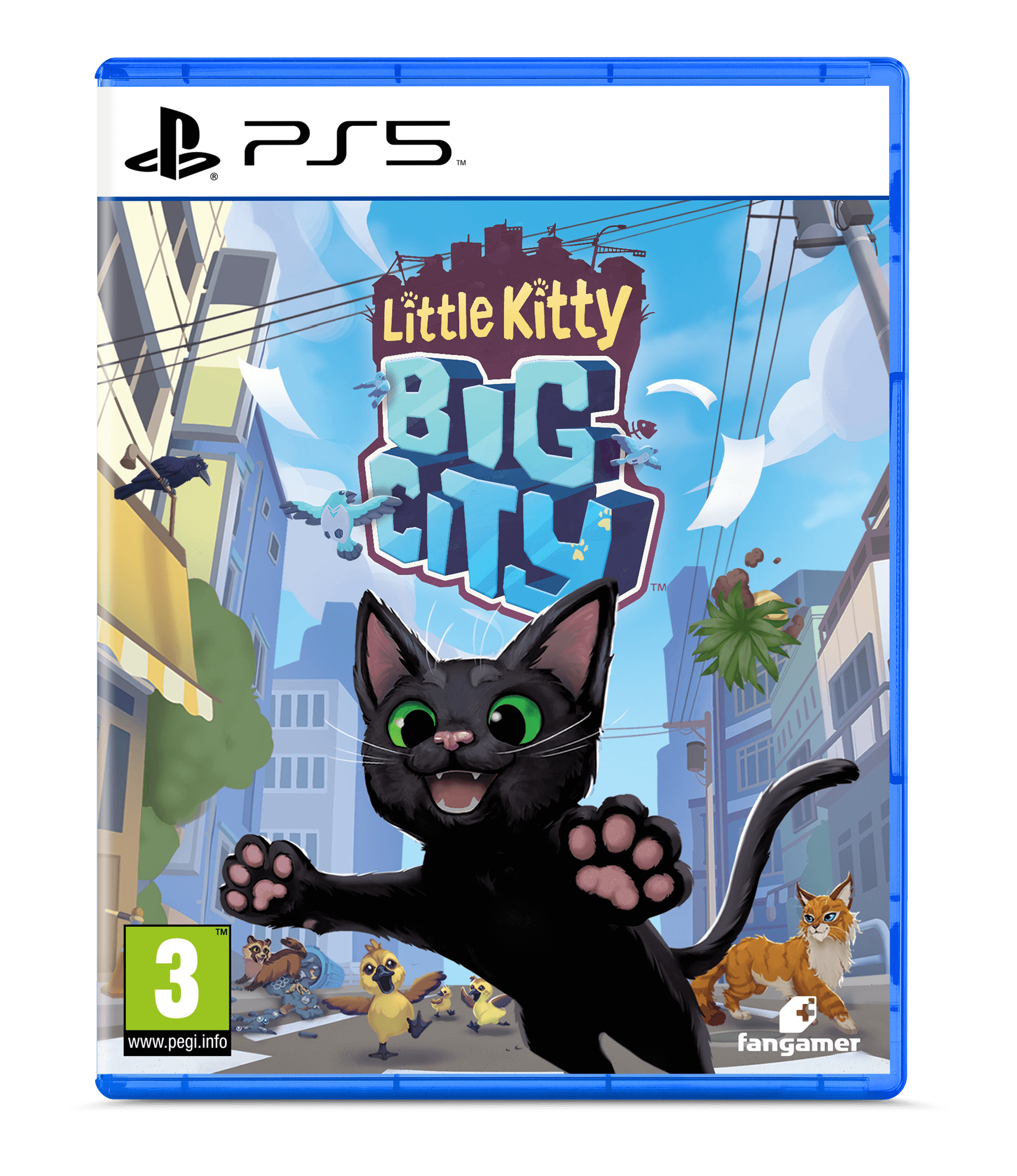 Little Kitty Big City