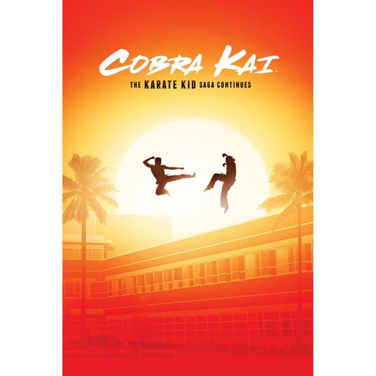 Poster Cobra Kai  The Karate Kid saga continues